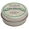 Mr Bear Family Lippenbalsem Mint 15 ml Mr Bear Family Lippenbalsem Mint 15 ml