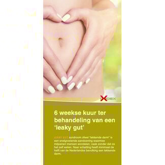 Codex LeakyGutBrochure - 3luik