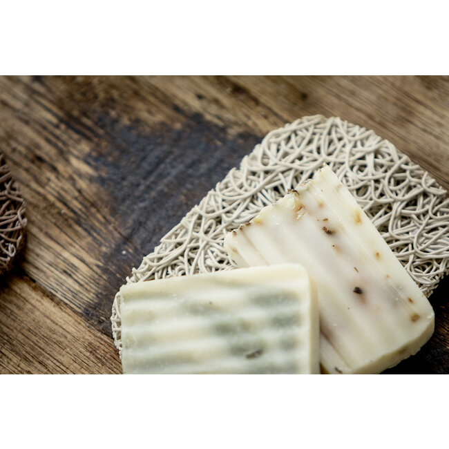 Zeepmatjes - 11 x 7,5 cm