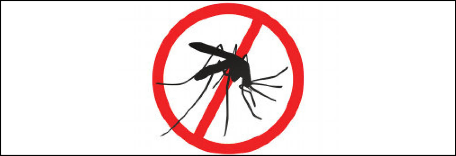 Tips tegen muggen!