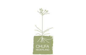 Chufa