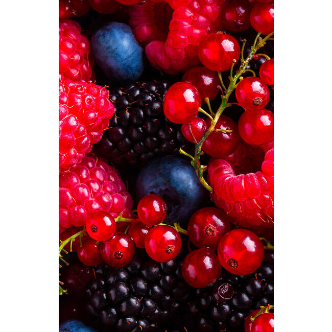 Fruitspread Bosvruchten 250g - BIO