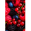 FiordiFrutta Fruitspread Bosvruchten 250g - BIO