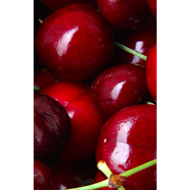 Fruitspread Kersen 250g - BIO