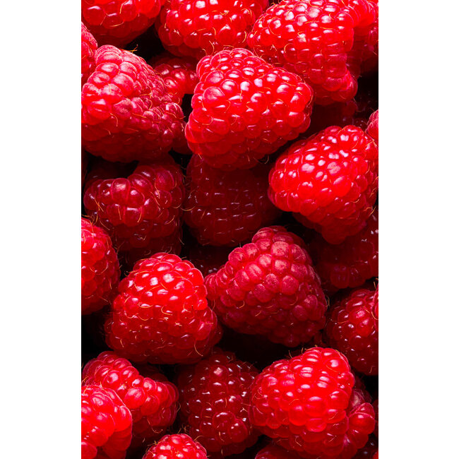 Fruitspread Frambozen 250g - BIO