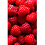 FiordiFrutta Fruitspread Frambozen 250g - BIO