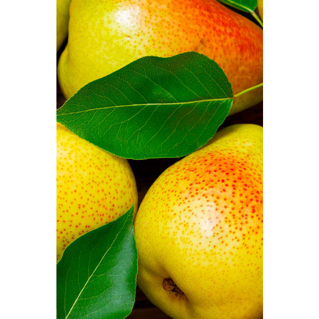 Fruitspread Peer - 250g - BIO