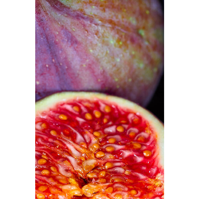 Fruitspread Vijgen 260g - BIO