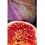 Fruitspread Vijgen 260g - BIO