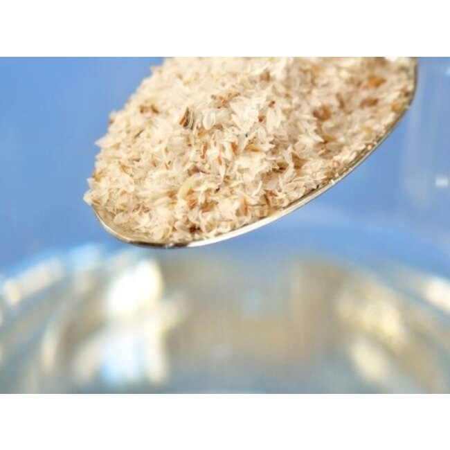 Psylliumvezels - 250g - BIO