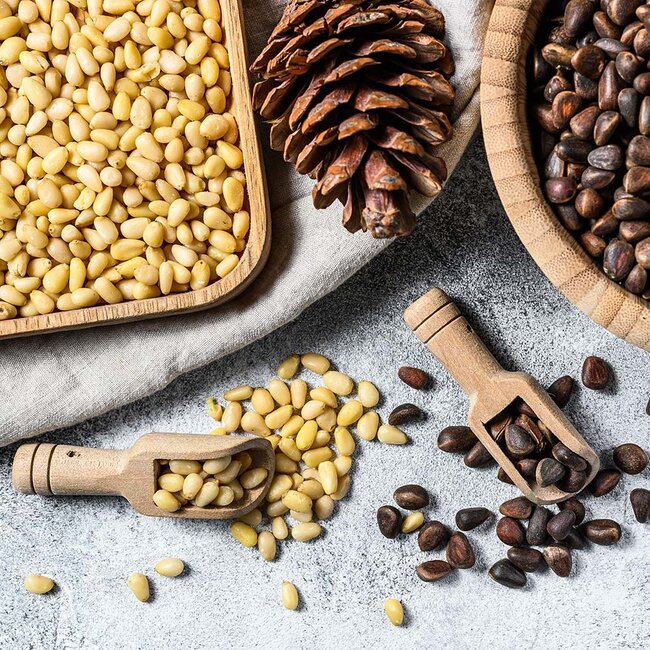 Pijnboompitten - 250g - BIO