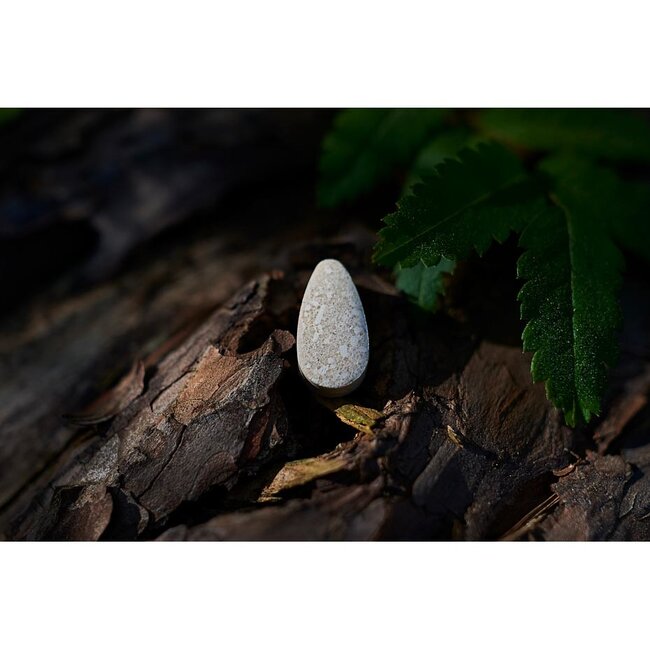 Allesreiniger Refill - 2 Parels