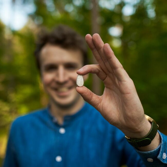 Allesreiniger Refill - 2 Parels