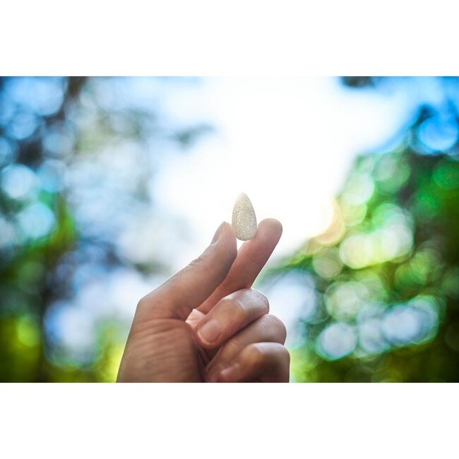 Allesreiniger Refill - 2 Parels