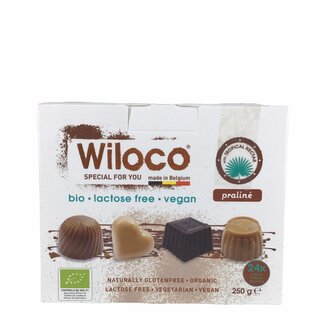 Wiloco Belgische Bonbons met Pralinevulling - 250g - BIO