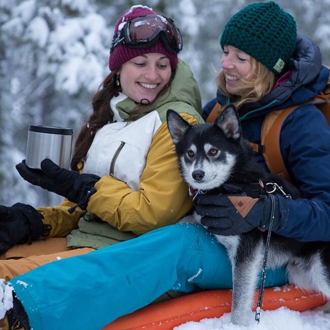 Thermoscontainer RVS - 946ml