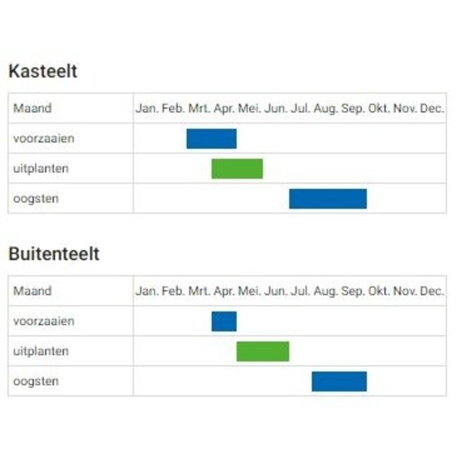 Aubergine 'Violetta Lunga 3' - 0,3g - BIO
