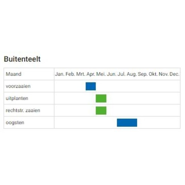 Basilicum ‘Genovese’ - 1g - BIO
