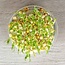 Groene Erwt - Kiemgroente - 50g - BIO