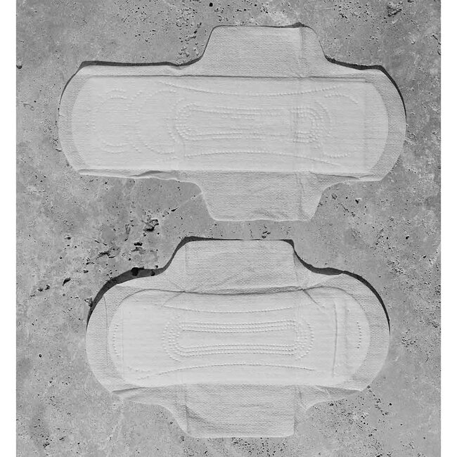 Maandverband met Vleugels - Medium - 10 stuks