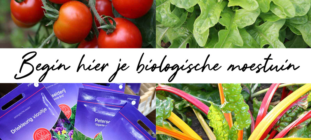Begin je eigen biologische moestuin