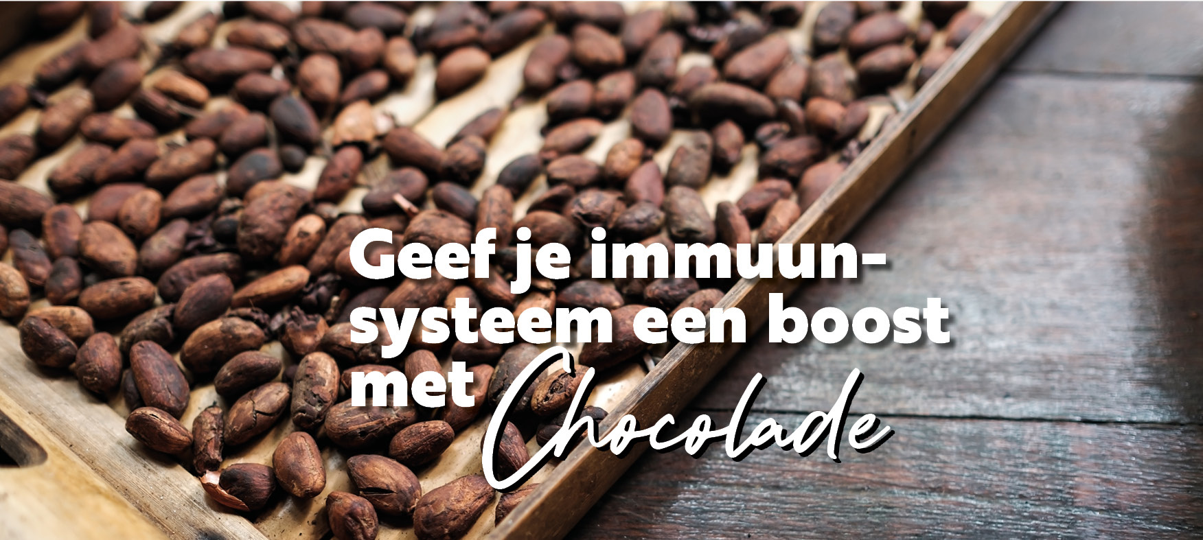 Geef je immuunsysteem een boost met Chocolade