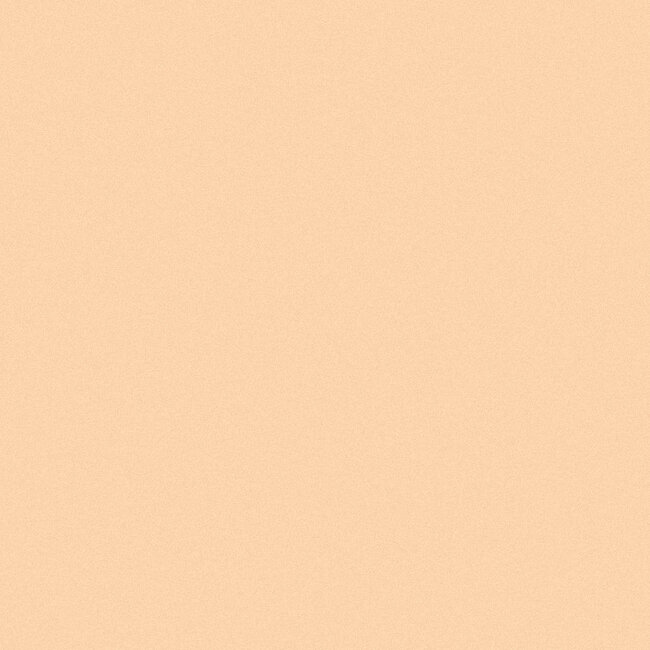 Full Coverage Concealer - Shell - 3.5g - BIO