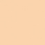 Full Coverage Concealer - Shell - 3.5g - BIO