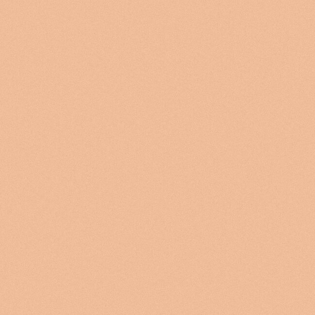 Full Coverage Concealer - Vanilla - 3.5g - BIO