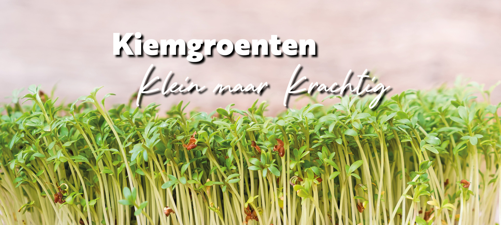 Kiemgroenten - Klein maar krachtig!