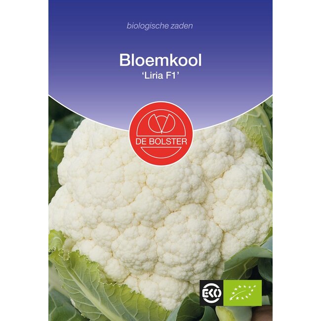 Bloemkool 'Liria F1' - 25 zaden - BIO