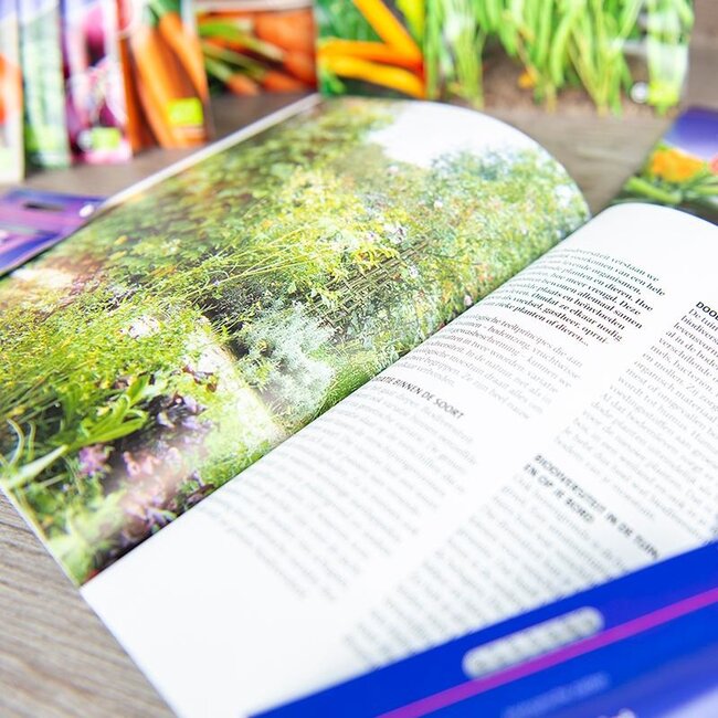 Zadenpakket 'Startende moestuin' - BIO