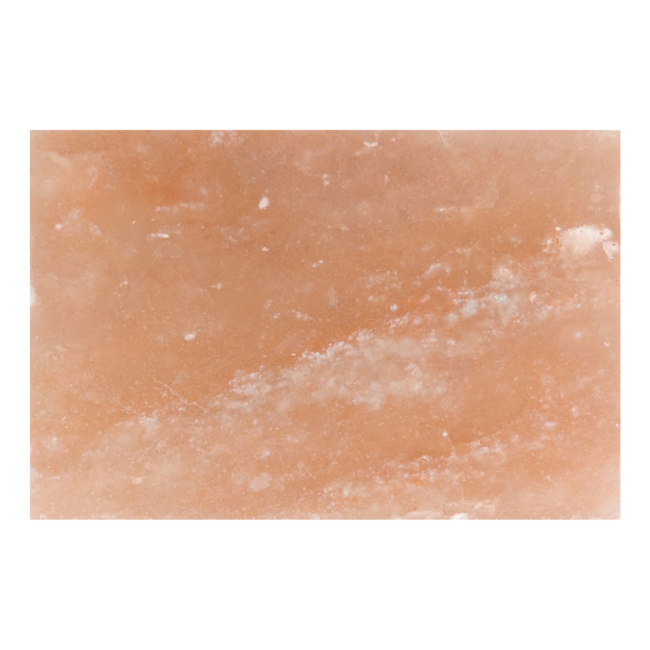 Himalaya Zoutsteen Grill - incl. RVS Houder - 20x30cm