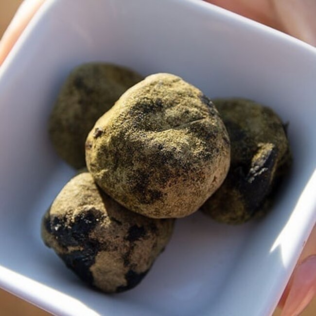 Pluumi - pruimen voor spijsvertering