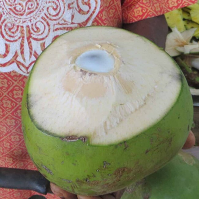 Kokoswater Puur - BIO