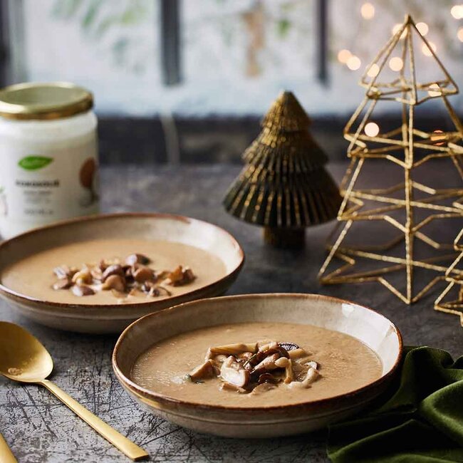 Kokosolie Extra Virgin koud geperst 500ml – BIO