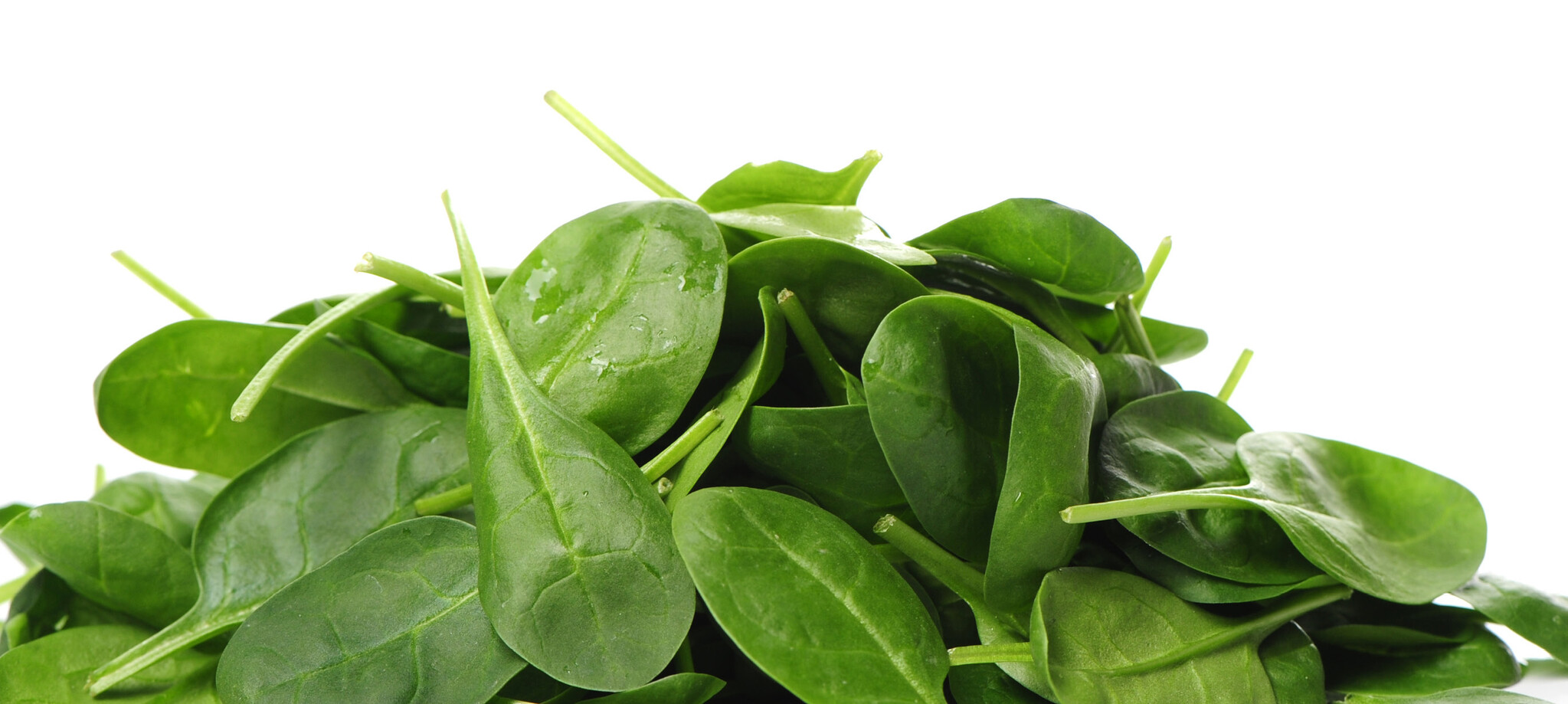 IJzertekort: oorzaken en herkenning