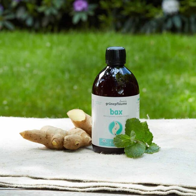 Gefermenteerd Micro-Organismen Complex - 500ml - BIO