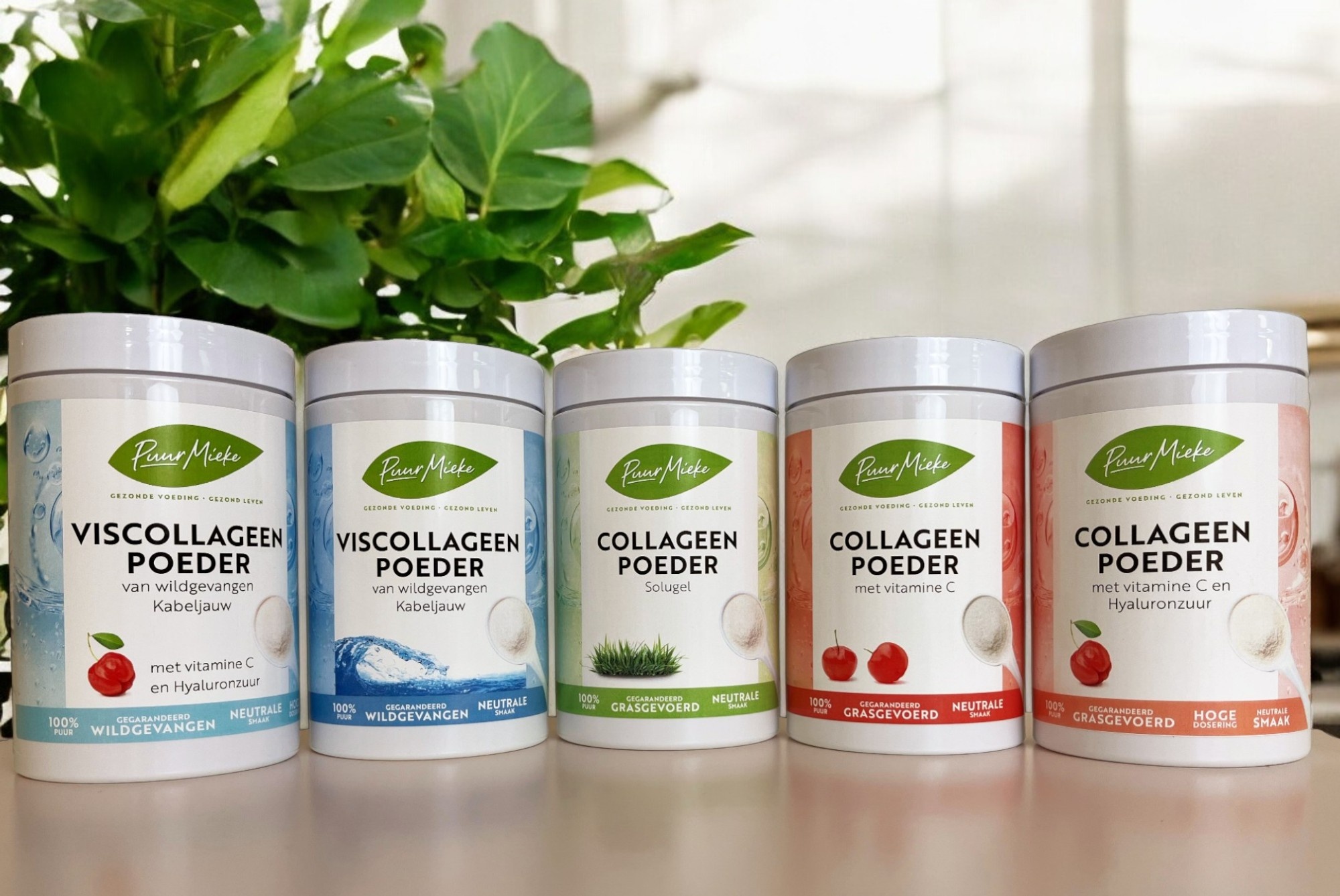 Wat is collageen en waar is het goed voor?