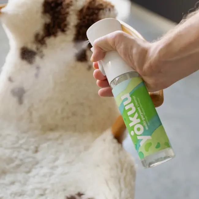 Allesreiniger Startkit - Sprayfles + 1 Parel