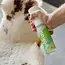 Allesreiniger Startkit - 1 Sprayfles + 1 Parel