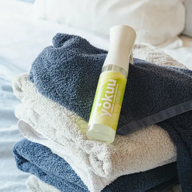 Dry Wash Spray Startkit - Sprayfles + 1 Parel