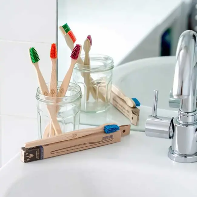 Tandenborstel Beukenhout - Volwassenen