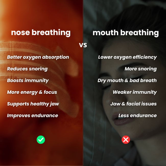 Neusstrips - 60 stuks