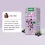 Hydration Superfoods Chill Guru
