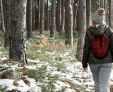 Winterwandeling: wat zijn de voordelen?