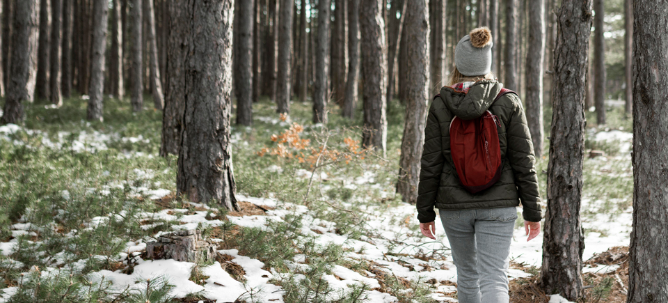 Winterwandeling: wat zijn de voordelen?