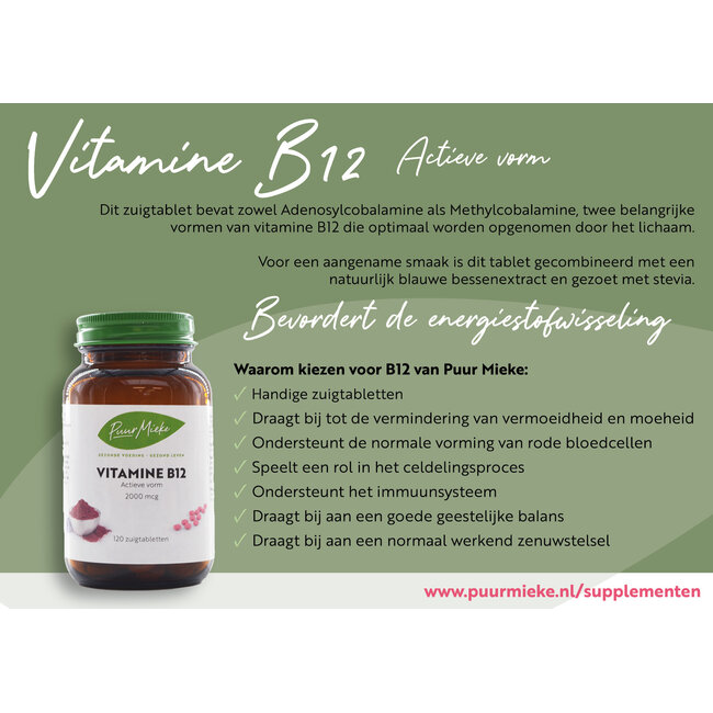 Vitamine B12 - Actieve vorm - 2000mcg - 120 zuigtabletten