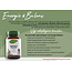 Energie & Balans - 500mg - 60 caps