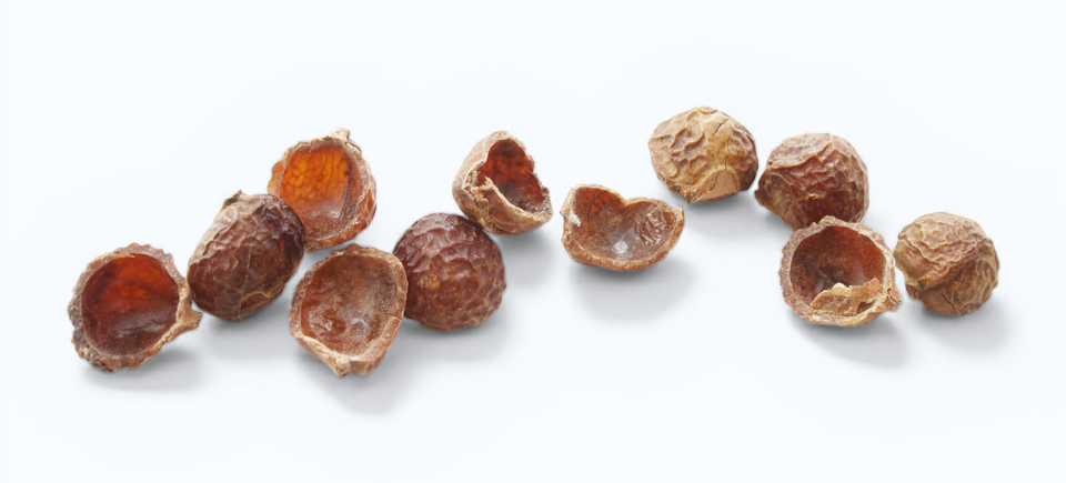 Wasnoten – Milieuvriendelijk en universeel schoonmaakmiddel